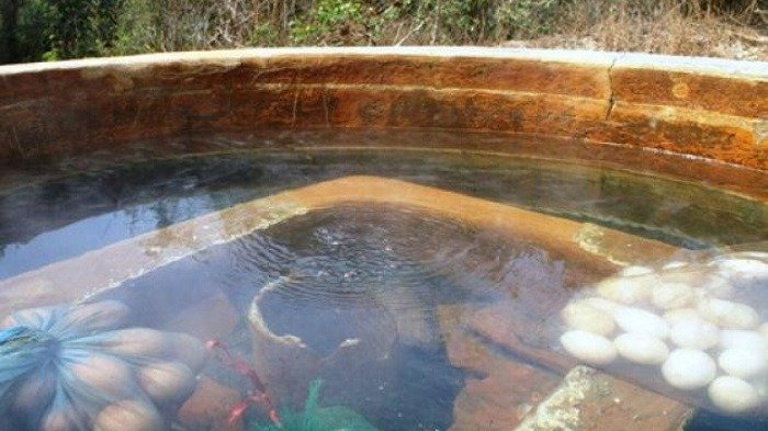 Suối nước nóng với trứng và rau được nấu tự nhiên, khung cảnh thiên nhiên yên bình và độc đáo.