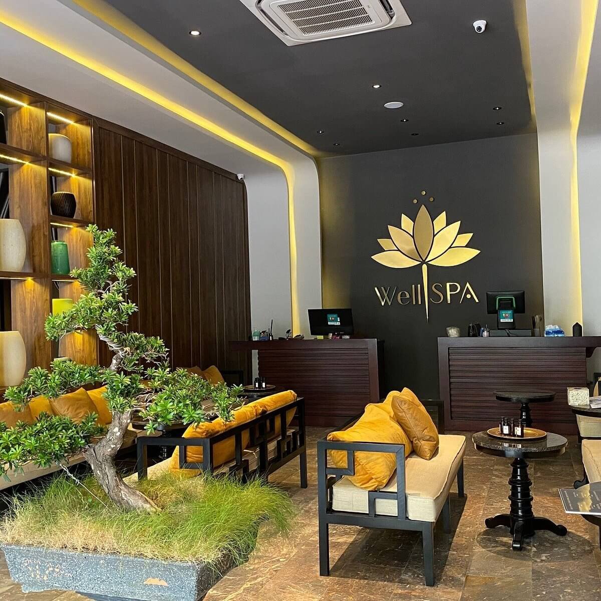 Lễ tân tại Well Spa với nội thất sang trọng, cây xanh tạo cảm giác thư giãn và tinh tế.