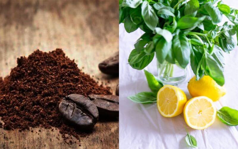 Bột cà phê và hạt bên trái, chanh cắt đôi và lá xanh tươi bên phải trên nền gỗ và vải.