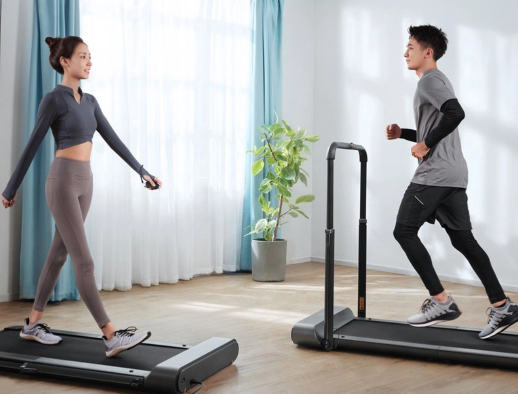 Hai người đang đi bộ và chạy bộ trên máy tập trong phòng có ánh sáng tự nhiên và cây xanh.