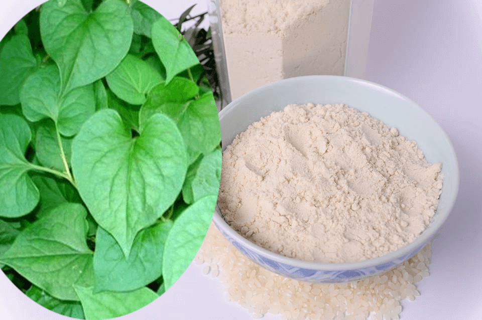 Lá cây xanh tươi bên trái và bột màu trắng trong bát bên phải, đặt cạnh gạo trắng.
