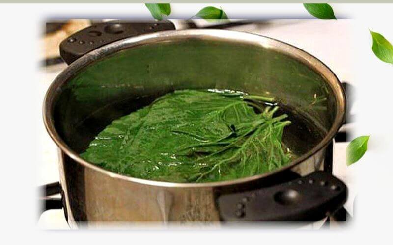 Nồi nước lá xanh đang đun sôi trên bếp, lá cây thảo mộc được ngâm trong nước nóng.