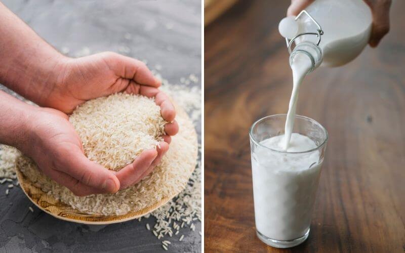 Người cầm gạo trong tay; sữa được rót vào ly từ chai thủy tinh.