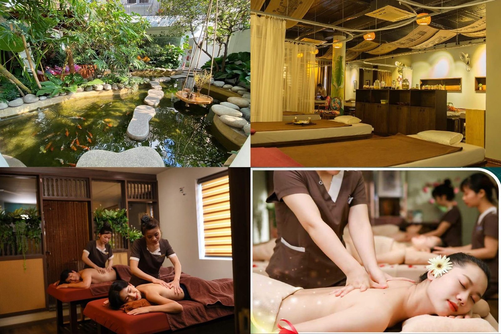 ha spa massage goi dau duong sinh