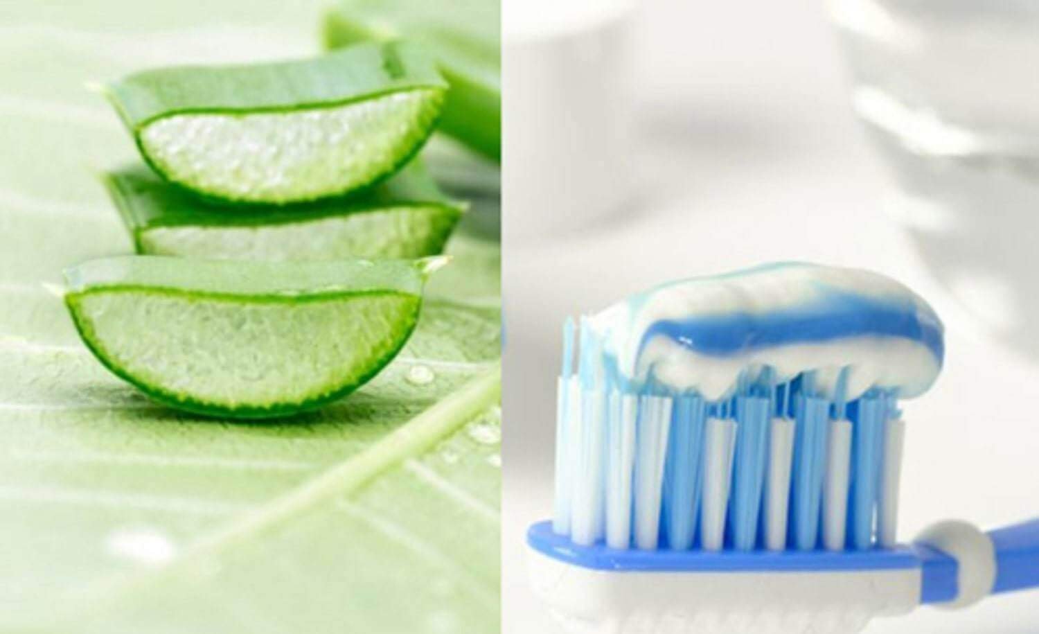 Các lát nha đam tươi bên trái và bàn chải đánh răng với kem đánh răng bên phải trên nền trắng.