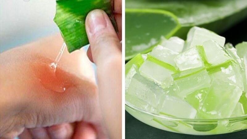 Bên trái: Người lấy gel từ lá nha đam. Bên phải: Những miếng nha đam đã được cắt nhỏ đặt trong bát.