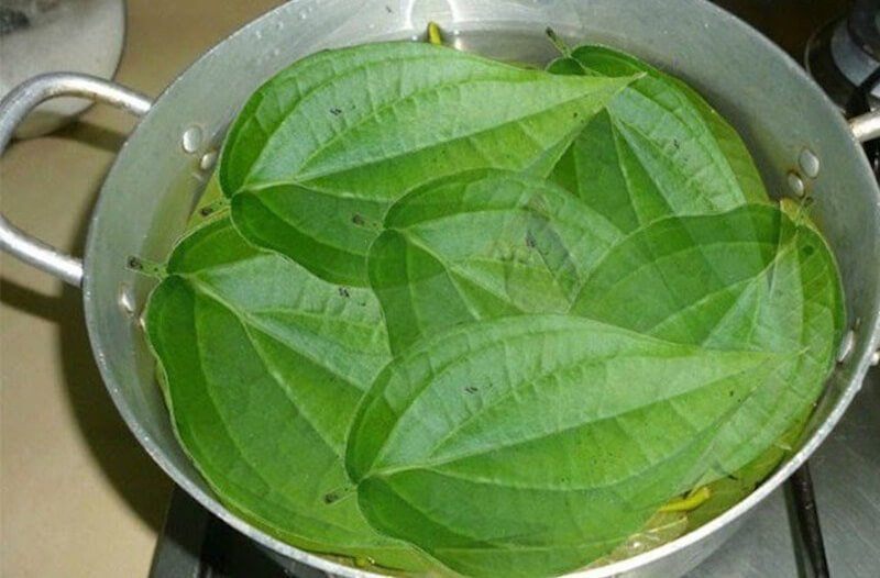 Nồi nước với lá xanh tươi đang được đun sôi trên bếp, lá xếp chồng lên nhau.