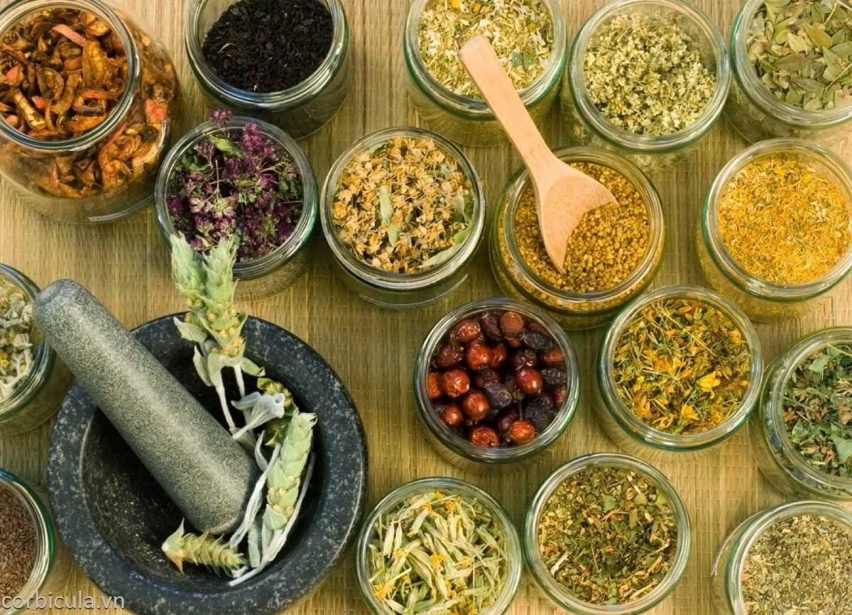 Các lọ thủy tinh chứa thảo mộc khô và nguyên liệu tự nhiên, cạnh cối và chày bằng đá trên bề mặt gỗ.