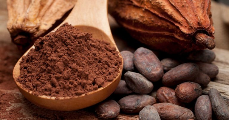 Uống Cacao Có Béo Không? Giải Đáp Dinh Dưỡng Và Mẹo Sử Dụng