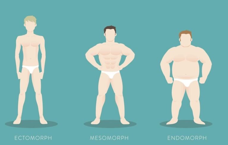 Endomorph Là Gì? Tìm Hiểu Về Dáng Người Và Cách Tập Luyện