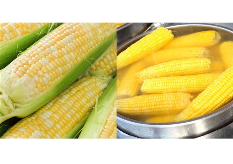 Một Trái Bắp Luộc Bao Nhiêu Calo? Tìm Hiểu Dinh Dưỡng Và Lợi Ích