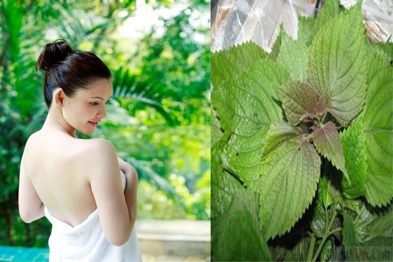 Người quấn khăn trắng đứng ngoài trời bên cạnh hình ảnh lá cây xanh.