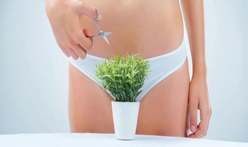 Người cầm kéo cắt một chậu cây nhỏ, mặc trang phục màu trắng đơn giản.