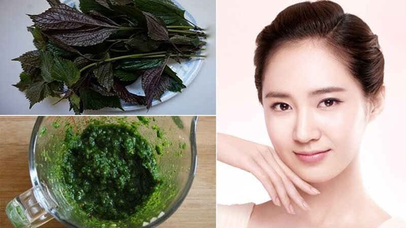 Lá tía tô trên đĩa, hỗn hợp lá xay nhuyễn, và một người đang mỉm cười với làn da mịn màng.