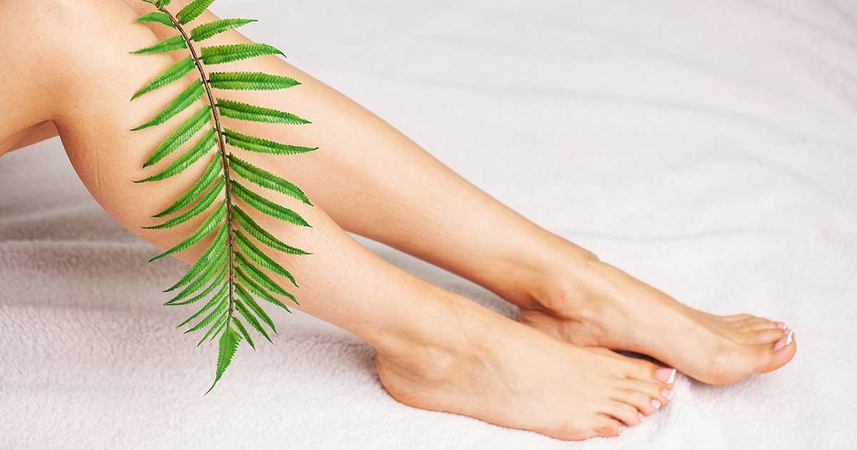 Đôi chân trên nền trắng, phủ lá dương xỉ xanh, tạo cảm giác thư giãn và tự nhiên.