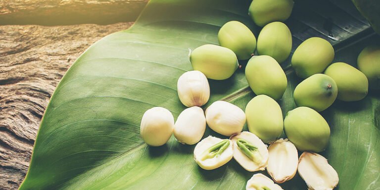Ăn Hạt Sen Luộc Giảm Cân: 5 Bí Quyết Thon Gọn Tự Nhiên