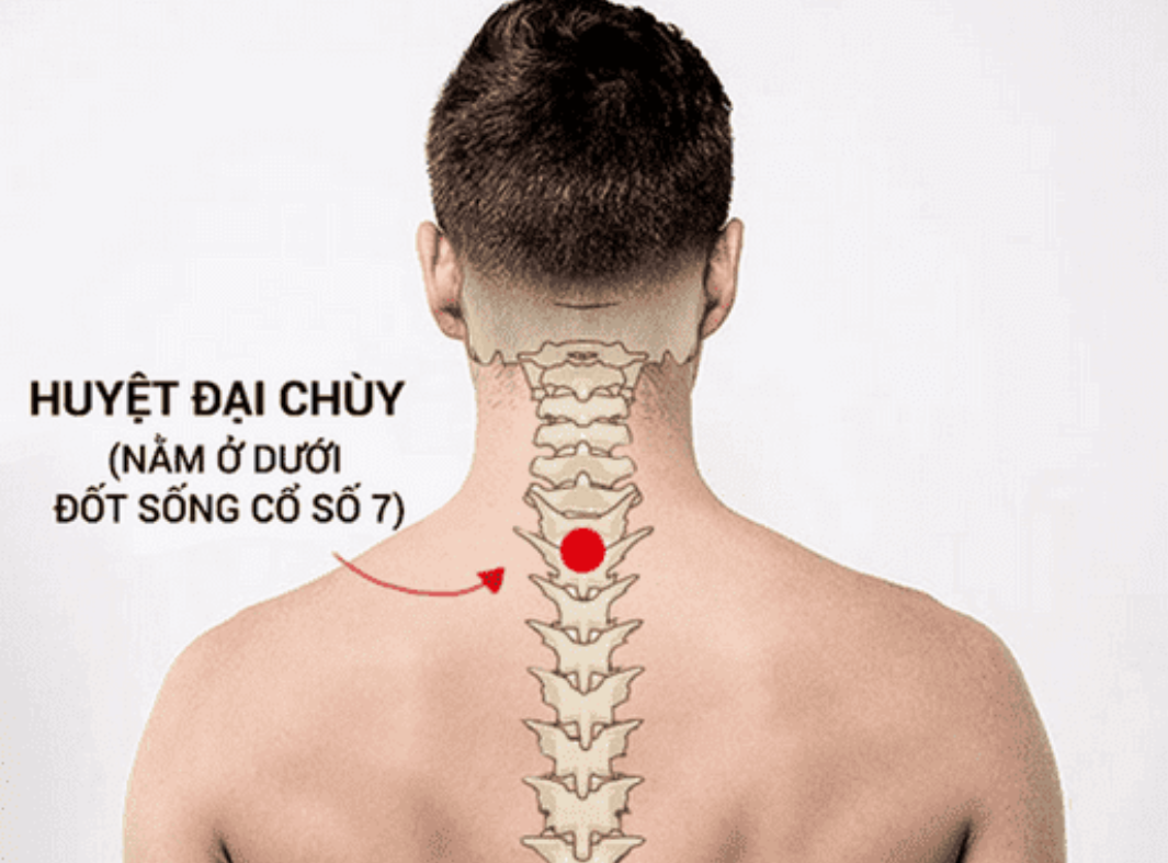 Hình ảnh minh họa vị trí huyệt đại chùy trên đốt sống cổ, có chú thích bằng tiếng Việt.