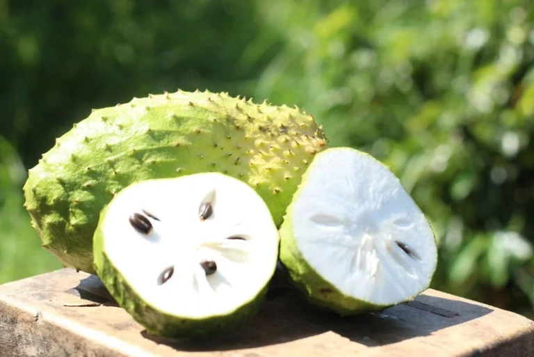 Mãng Cầu Bao Nhiêu Calo? Cách ăn mãng cầu để GIẢM CÂN
