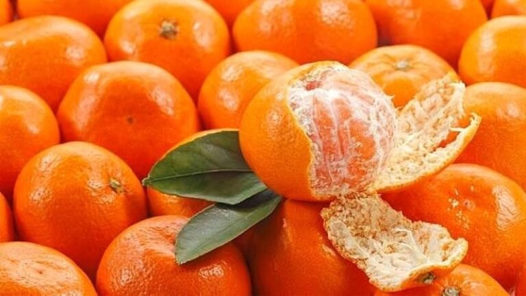 1 Quả quýt bao nhiêu calo? Giải đáp chi tiết cách GIẢM CÂN