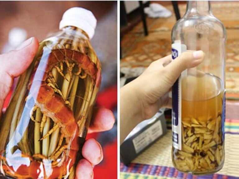Thuốc Rượu Trị Mụn Là Gì? Tác Hại Khôn Lường Khi Sử Dụng Sai Cách Cần Biết