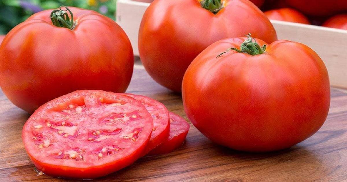 Ba quả cà chua đỏ và vài lát cắt trên mặt bàn gỗ.