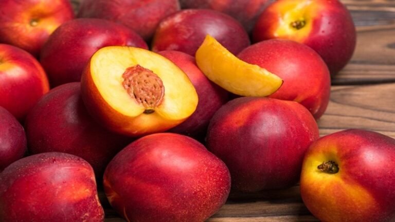 Đào bao nhiêu calo? Giải đáp lượng calo và lợi ích của đào