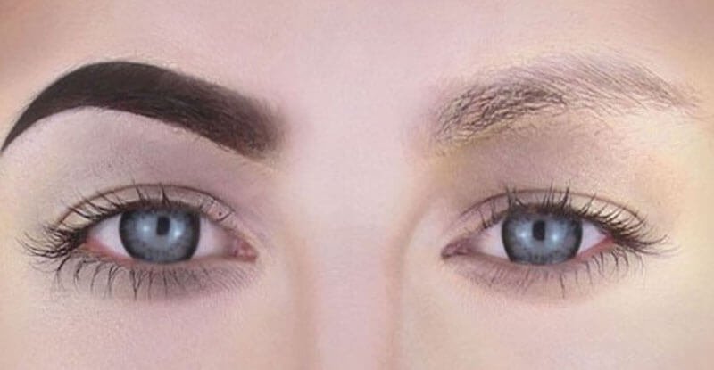 Hai mắt nhìn thẳng, bên trái có lông mày đậm, bên phải có lông mày nhạt hơn.